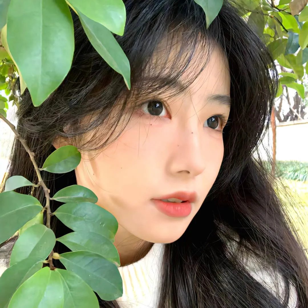 飞女正传