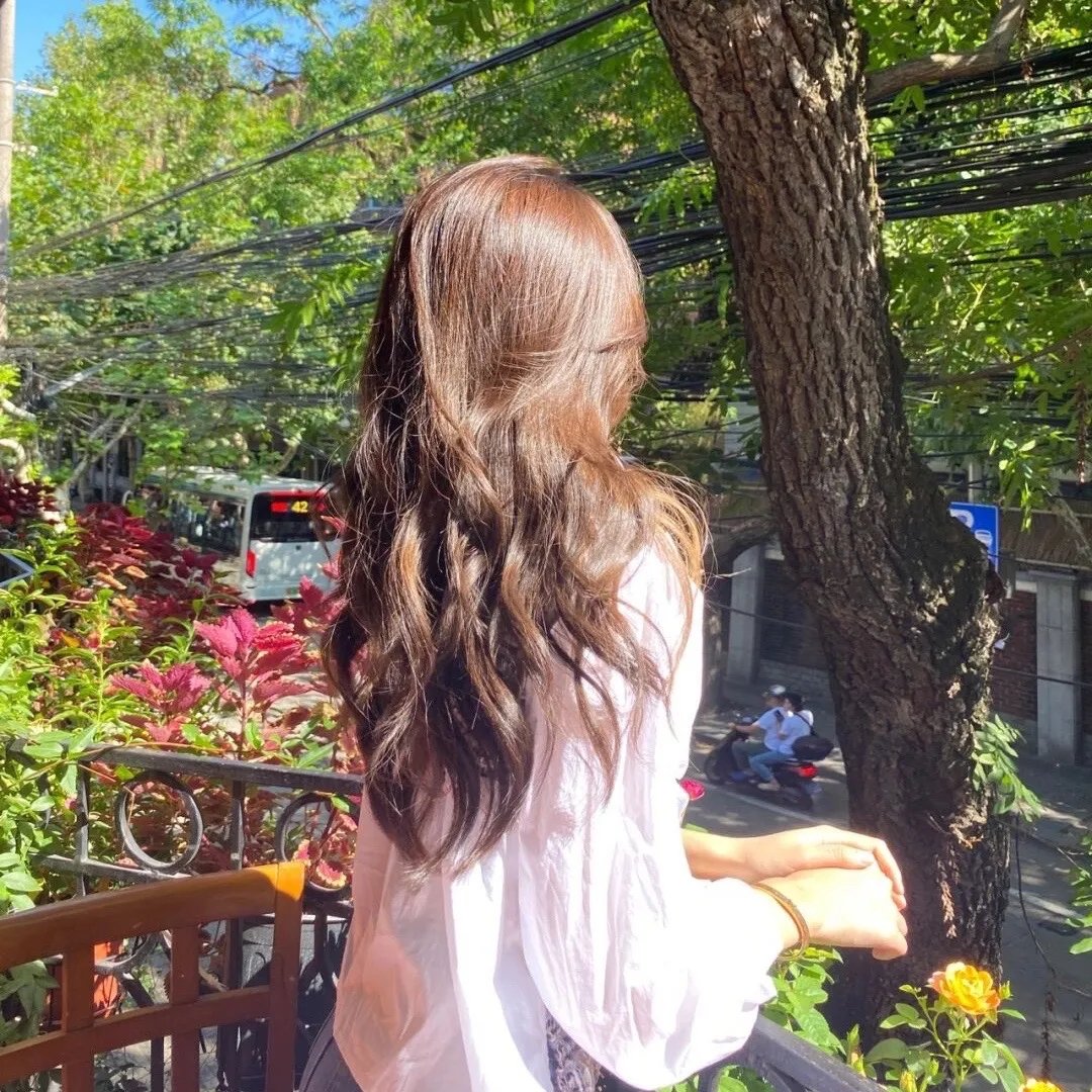 惨淡的青春