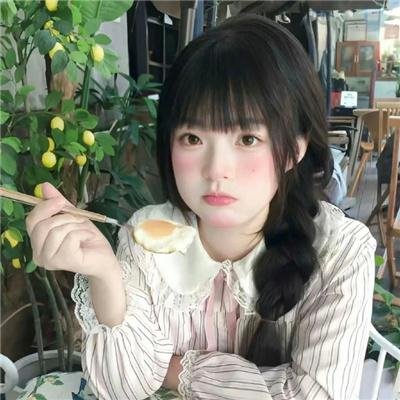 小象守护者